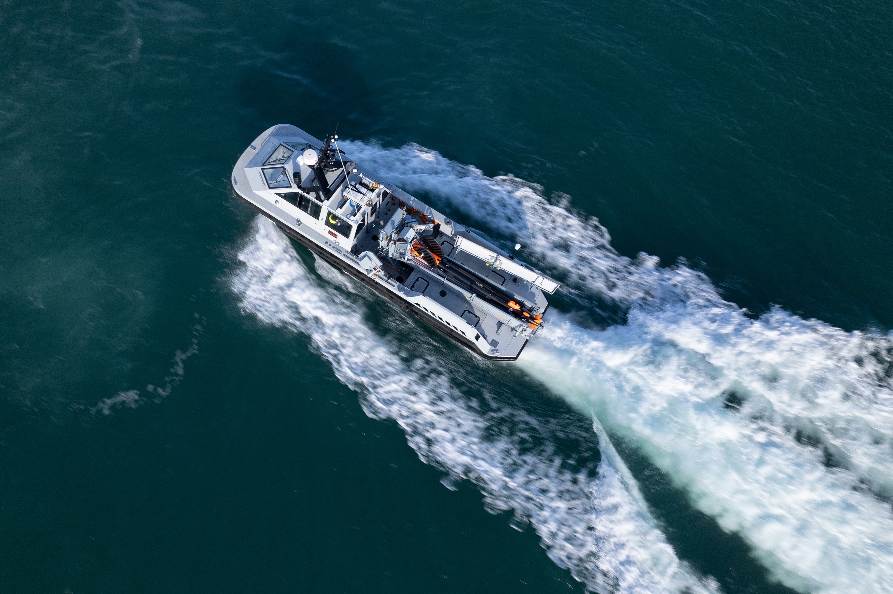 ARCIMS with SeaCat AUV